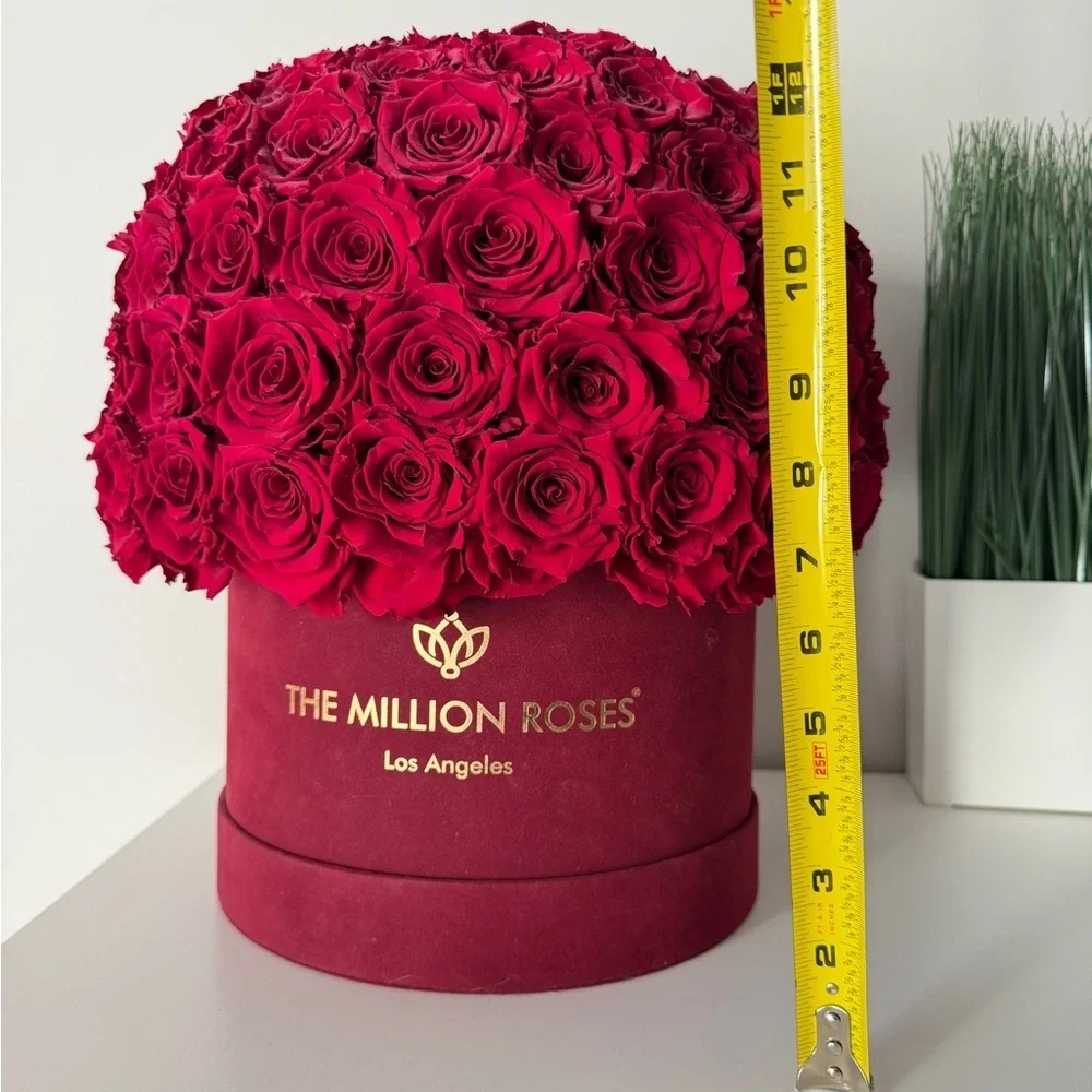 SUPREME BORDEAUX SUEDE SUPERDOME BOX | BURGUNDY ROSES